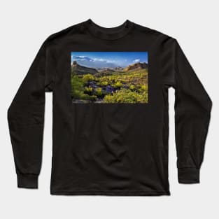 Arizona's Desert Landscape Long Sleeve T-Shirt